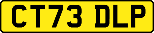 CT73DLP