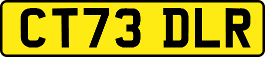 CT73DLR