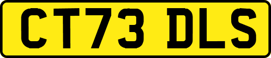 CT73DLS