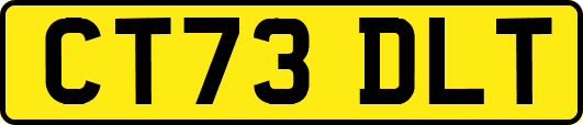 CT73DLT