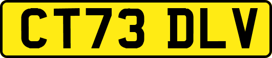 CT73DLV