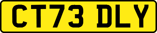 CT73DLY