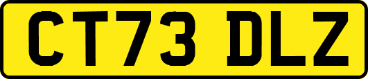 CT73DLZ