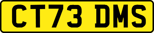 CT73DMS