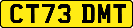 CT73DMT