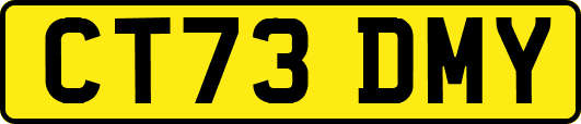 CT73DMY