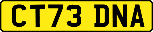 CT73DNA