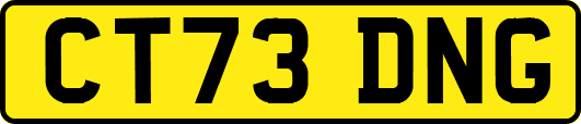 CT73DNG
