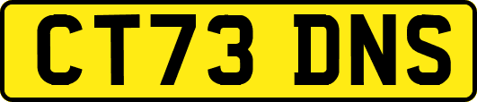 CT73DNS