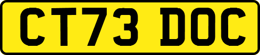 CT73DOC