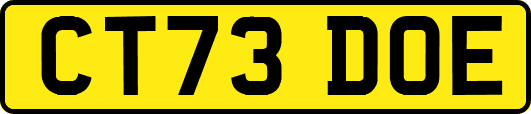 CT73DOE