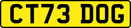 CT73DOG
