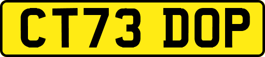 CT73DOP