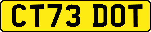 CT73DOT