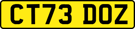 CT73DOZ