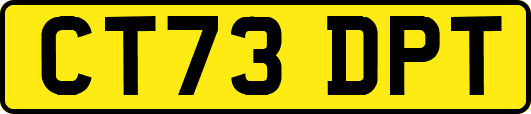 CT73DPT