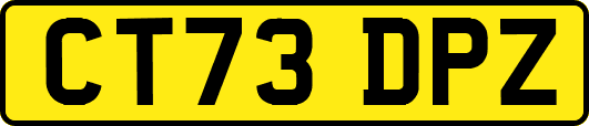 CT73DPZ