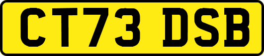 CT73DSB