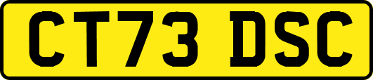 CT73DSC