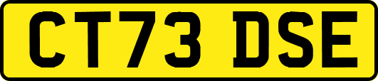 CT73DSE