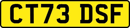 CT73DSF