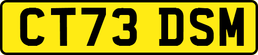CT73DSM
