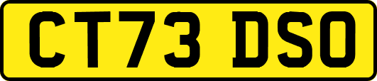 CT73DSO