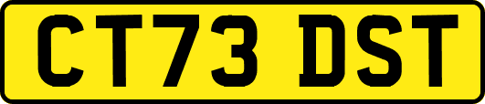 CT73DST