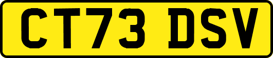 CT73DSV