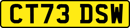 CT73DSW