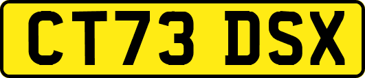 CT73DSX