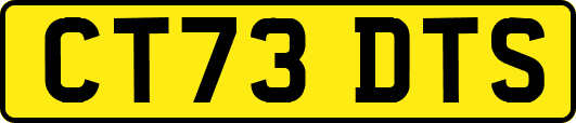 CT73DTS