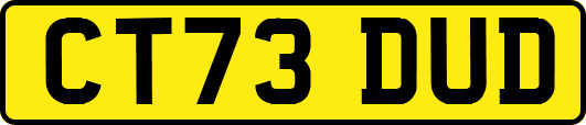 CT73DUD