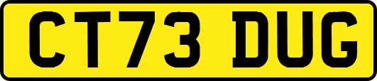 CT73DUG