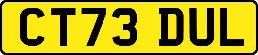 CT73DUL