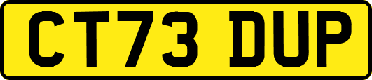 CT73DUP
