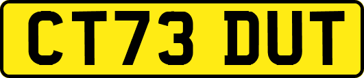 CT73DUT