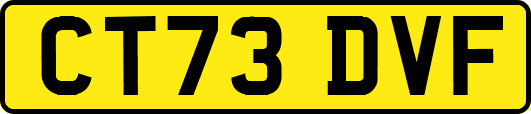 CT73DVF
