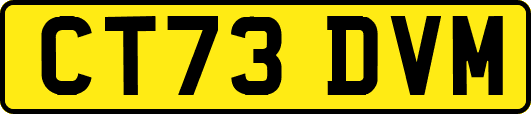 CT73DVM