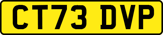 CT73DVP