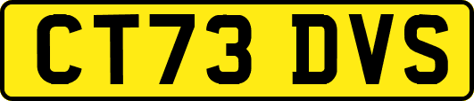 CT73DVS