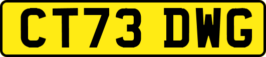 CT73DWG