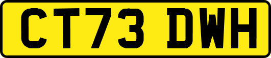 CT73DWH