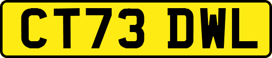 CT73DWL