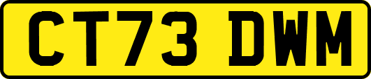 CT73DWM