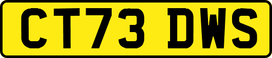 CT73DWS