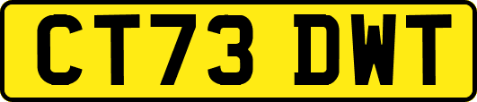 CT73DWT