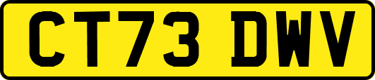 CT73DWV