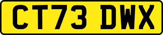 CT73DWX