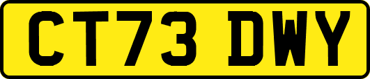 CT73DWY